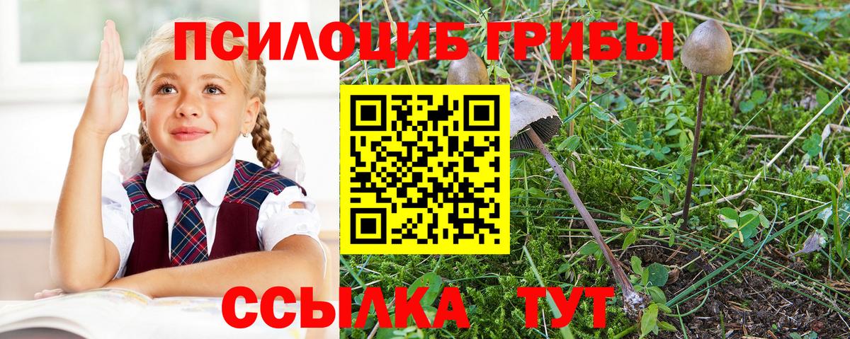 Ревда  где найти   Псилоцибиновые грибы MAGIC MUSHROOMS  Вход с VPN  Галлюциногенные грибы мицелий 